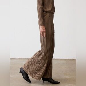Ruti Relaxed Pleated Pants Brown Size Large